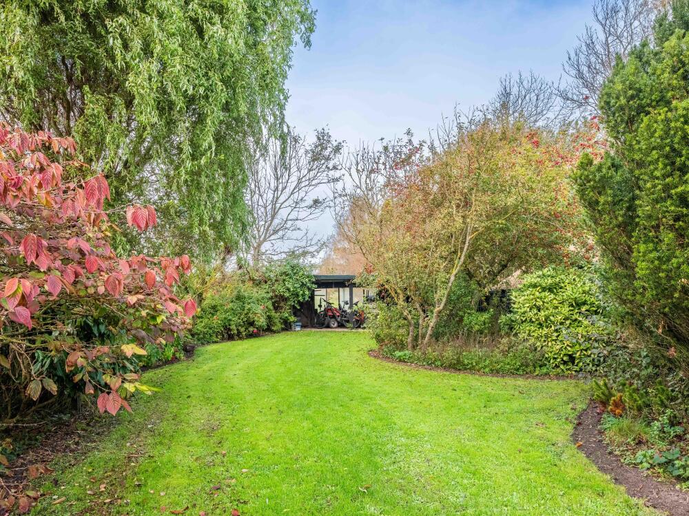 Foto 29 1000w