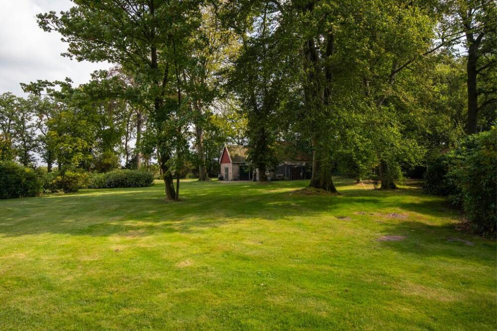 Foto 58 1000w