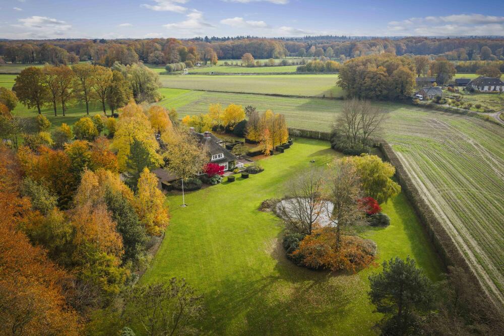 Foto 45 1000w