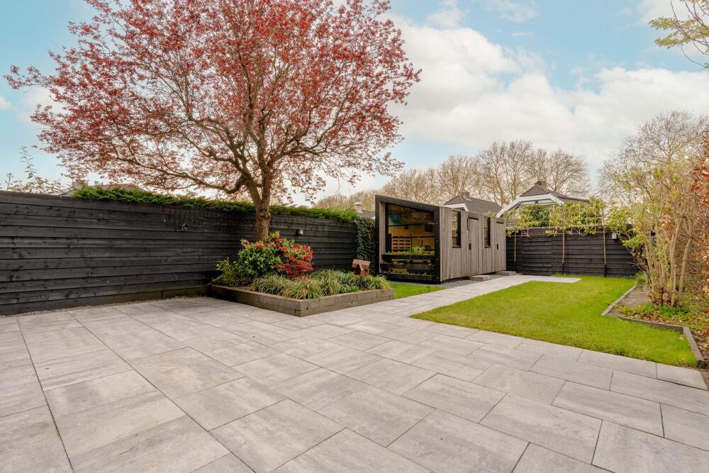 Foto 18 1000w