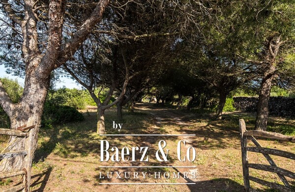 photo 27 RUSTIC ESTATE FROM THE 18TH CENTURY