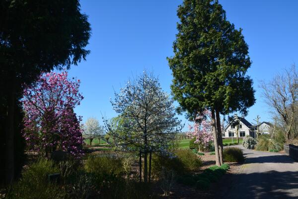 photo 63 Lange Meentweg 4