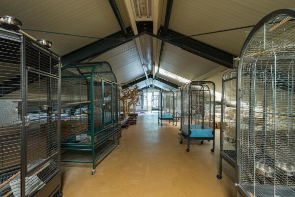 photo 66 Den Ilp 108