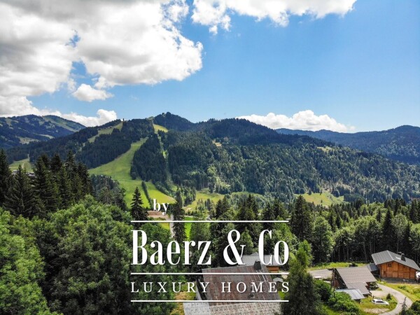 photo 8 LARGE BUILDING PLOT - NATURE AREA