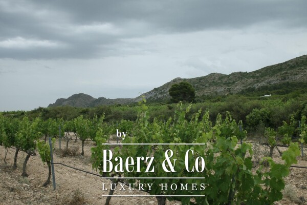 photo 32 Beautiful luxury home in Yecla