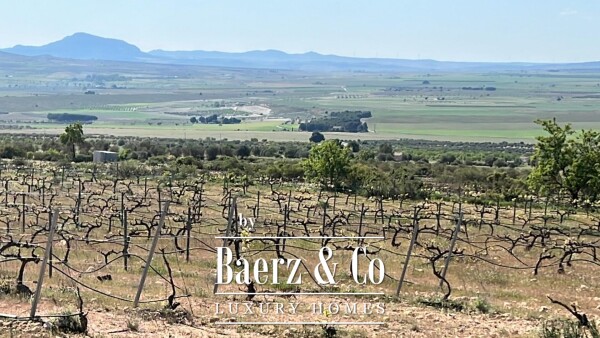 photo 33 Beautiful luxury home in Yecla