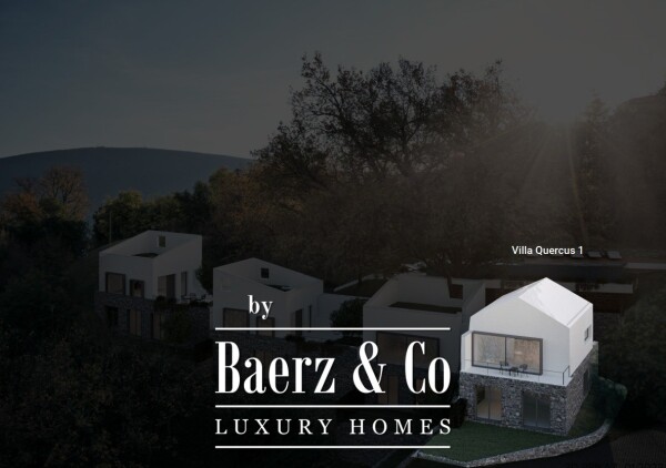 photo 2 Villa with a Pool in Boka Bay