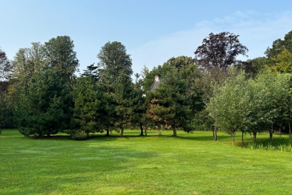 photo 30 Oude Liesboslaan 265