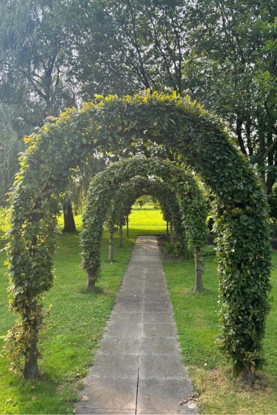 photo 28 Oude Liesboslaan 265