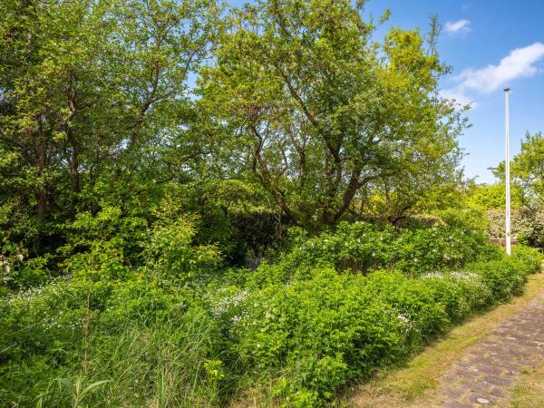 photo 53 Elzenlaan 30