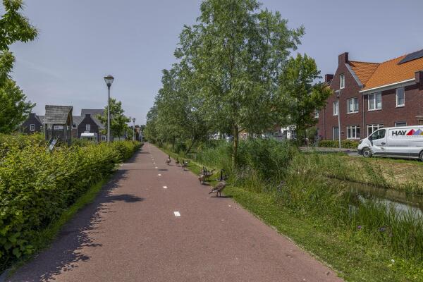 photo 66 Schadewijkstraat 29