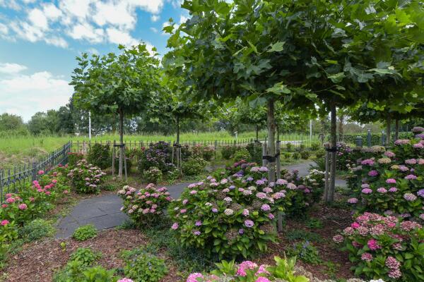 photo 57 Legmeerdijk 342