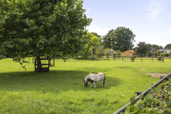 photo 89 Dennendijk 6