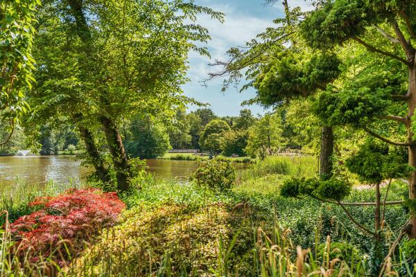 photo 65 Keverberg 41