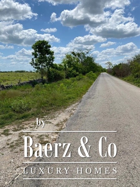 photo 34 Street 24 x 29 