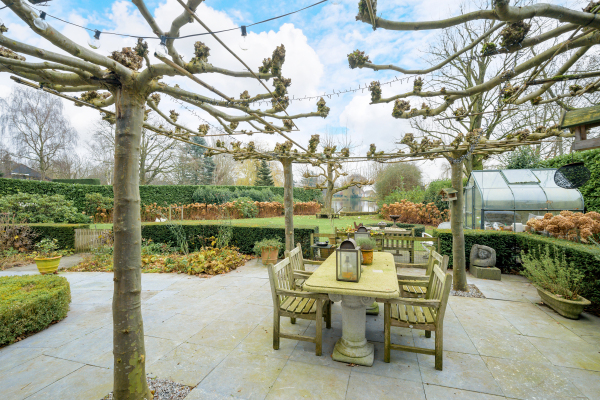 photo 38 Ameroever 64