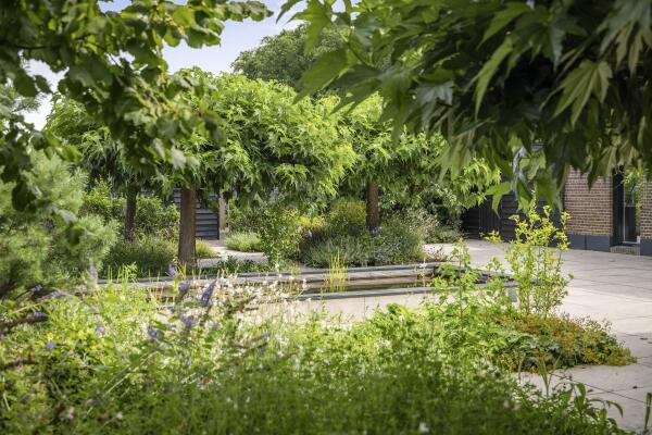 photo 46 Markeloseweg 25