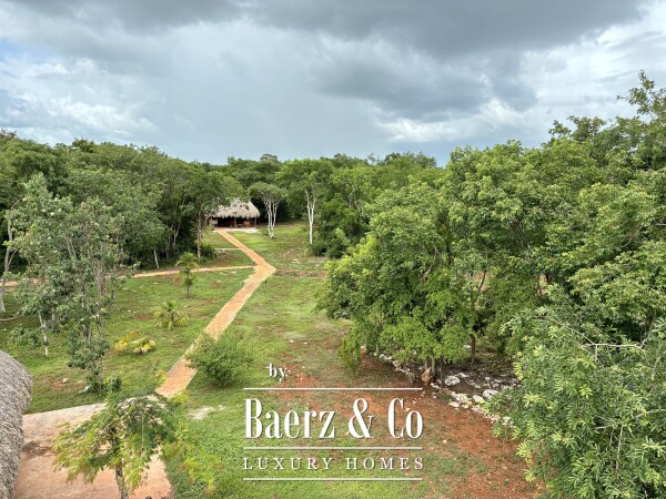 photo 23 A Private Yucatán Estate - villa, tower suite, guest casita, medicinal garden, orchard and more