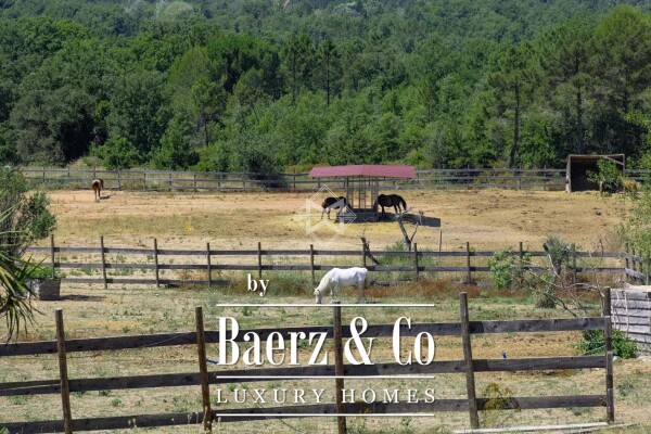 photo 10 Canton de Fayence – Family Home Ideal for a Bed and Breakfast