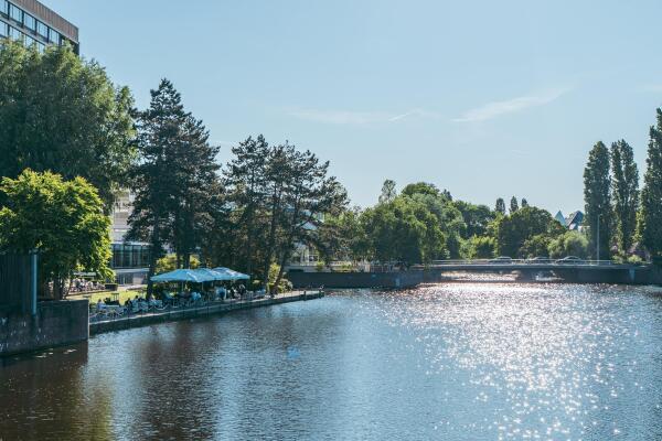 photo 31 Hacquartstraat 7 2