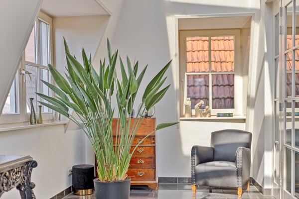 photo 40 Hofstraat 6