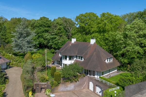 Video Leonard Springerhof 4