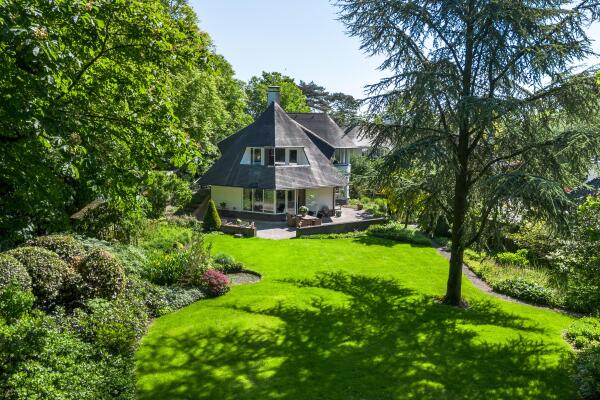 Video Leonard Springerhof 4