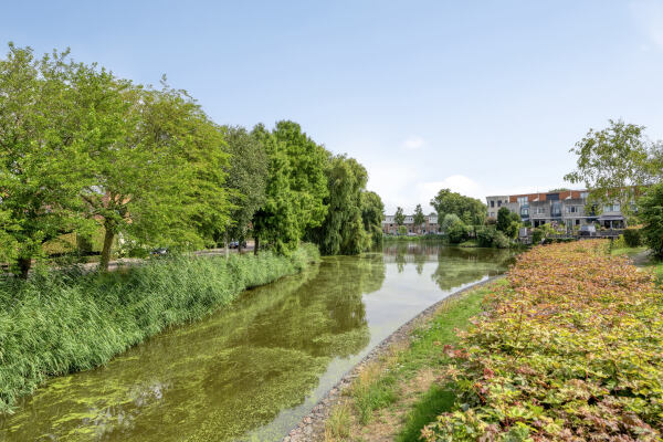 photo 41 van Ruysdaellaan 60