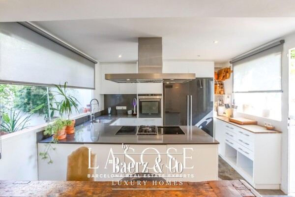 photo 7 Sant Pere de Ribes, Los Viñedos