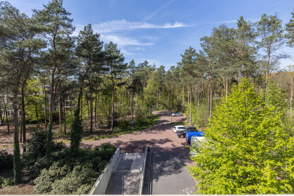 photo 4 Palisiumpark 26