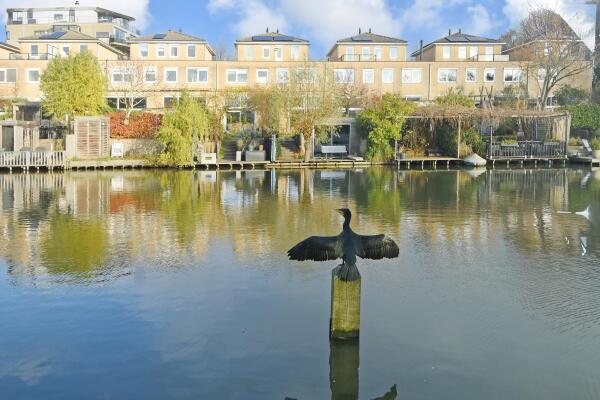 photo 19 Glaskloksingel 59