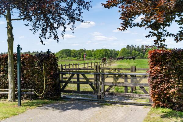 photo 53 Kapelstraat 12 14