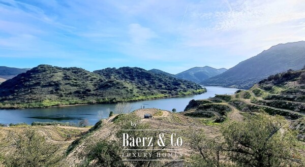 photo 14 Douro Riverfront Almond Estate