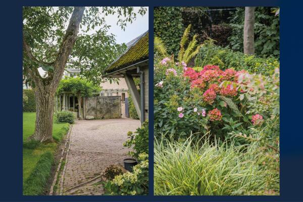 photo 52 Kamperfoeliestraat 23