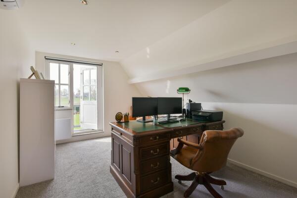 photo 23 Timotheegras 13