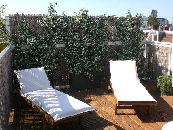 photo 27 Balthasar Floriszstraat 12 3