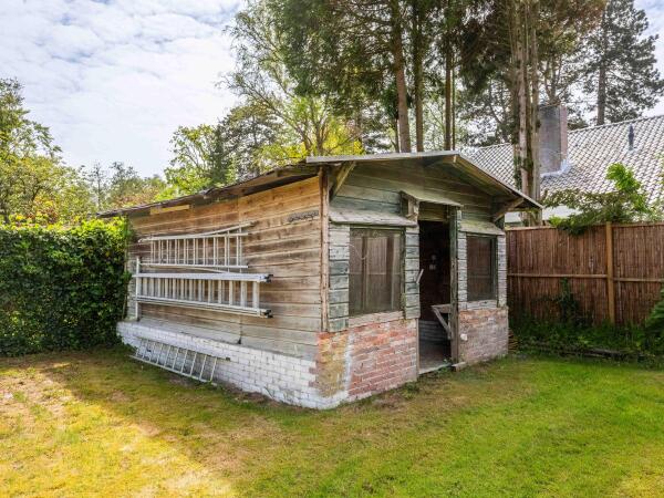 photo 41 Omloop 12